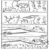 IMG_000352.jpg ( 53 KB ) by yC^[ʏ