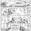 IMG_000369.jpg ( 57 KB ) by yC^[ʏ